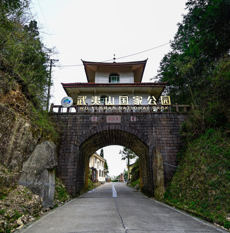 Thôn Đồng Mộc, trấn Tinh Thôn, thành phố Vũ Di Sơn khoảng 5 km về phía đông bắc ( Trước đây là huyện Sùng An)